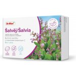 Dr. Max Šalvěj Bylinné pastilky s vitaminem C bez cukru 24 pastilek – Hledejceny.cz