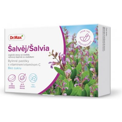 Dr. Max Šalvěj Bylinné pastilky s vitaminem C bez cukru 24 pastilek – Hledejceny.cz