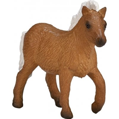 Mojo Shetlendský pony hříbě