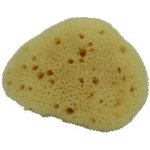 Naturaprodukt hedvábná mořská houbička 7,6 8,9 cm – Zboží Dáma