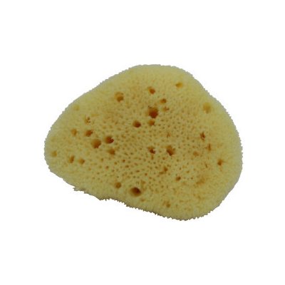 Naturaprodukt hedvábná mořská houbička 7,6 8,9 cm – Zboží Dáma