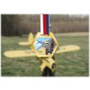 Sportovní medaile Akrylátová medaile RC modely letadla Zlatá