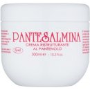 Gestil Pantesalmina hydratační balzám pro jemné a poškozené vlasy Panthenol 300 ml