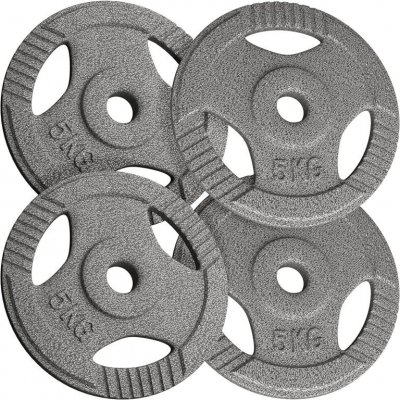 PHYSIONICS Sada činkových kotoučů 4 x 5 kg litina, 31 mm – Hledejceny.cz