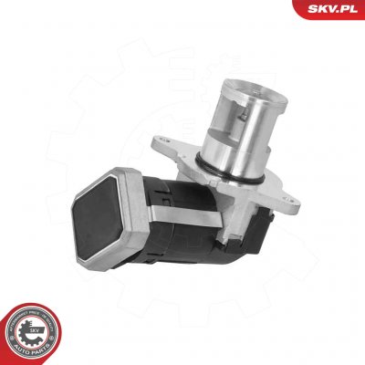 AGR-Ventil ESEN SKV 14SKV306 | Zboží Auto