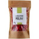 Natu Lyofilizované maliny 45 g