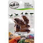 ProBugs Eco-Fresh Šváb argentinský 5 ks – Zboží Dáma