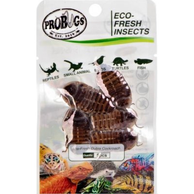 ProBugs Eco-Fresh Šváb argentinský 5 ks – Zboží Dáma