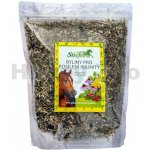 Stiefel Byliny pro podporu imunitního systému 1 kg – Hledejceny.cz