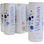 Vincentka přírodní minerální voda 250 ml – Zboží Dáma