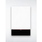 Viessmann Vitodens 100-W 32 kW Z020621 – HobbyKompas.cz