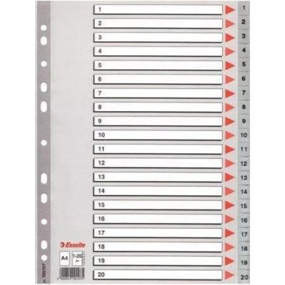 Rejstřík plastový Esselte A4 číselný 100107, 1-20 číselný – Zboží Živě