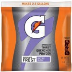 Gatorade Sportovní nápoj 595 g – Zboží Dáma