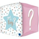 15" 38 cm krychle 4D Odtajnění pohlaví miminka – Zboží Mobilmania