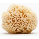 Mořská houba na tapetování - 14 cm