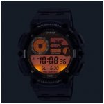 Casio WS-1500H-1A – Zboží Mobilmania