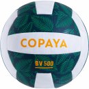 Copaya BVBH500