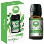 Elysium Spa Aromatherapy Eukalyptus esenciální olej 10 ml – Hledejceny.cz