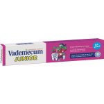 Vademecum Junior Jahoda pro děti od 6 let 75 ml – Zboží Dáma