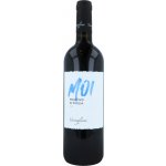 Varvaglione Primitivo Di Puglia IGP 2019 14% 0,75 l (holá láhev) – Hledejceny.cz