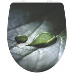 Schütte RAINDROP HG – Hledejceny.cz