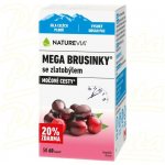 NatureVia Mega Brusinky 60 kapslí 500mg – Sleviste.cz