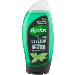 Radox Refreshment Menthol And Citrus 3-in-1 Shower Gel 450 ml – Hledejceny.cz