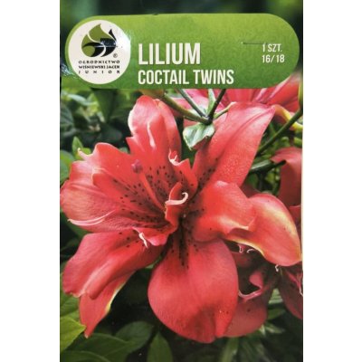 Lilie cibule, Lilium Asiatic Coctail Twins, Jacek, červená, balená, 1 ks – Hledejceny.cz