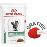 Royal Canin VD Cat Diabetic 12 x 85 g – Sleviste.cz