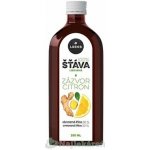 Leros Lisovaná šťáva Zázvor & citron 25 ml – Hledejceny.cz