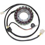ELECTROSPORT Stator (vinutí) alternátoru SUZUKI LS 650/S40 BOULEVARD 96-09 | Zboží Auto