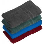 CANIS Froté ručník 50 x 100 cm středně modrý 50 x 100 cm – Zboží Mobilmania