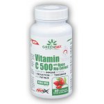 Amix GreenDay Vitamin C 500 mg with RoseHip 60 kapslí – Hledejceny.cz
