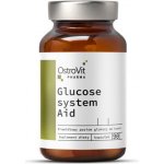 OstroVit Pharma Glucose System Aid 90 tablet – Hledejceny.cz