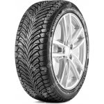 Fortune FSR401 205/55 R16 94V | Zboží Auto