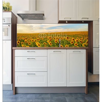 WEBLUX Fototapeta do kuchyně fólie sunflowers - 50744660 slunečnice rozměry 180 x 60 cm – Zboží Mobilmania
