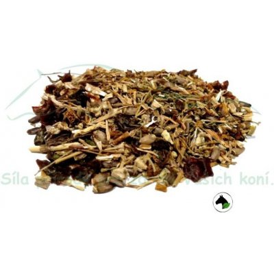 Koňské bylinky Imunita 1 kg – Hledejceny.cz