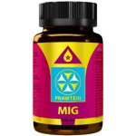 Bewit Prawtein Mig 100 ml – Hledejceny.cz