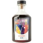 Dlabka Cherry Gin 42% 0,5 l (holá lahev) – Zboží Dáma