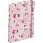 MFP Blok s gumkou 13 x 18cm, 120 listů, linka – Zboží Živě