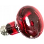 ReptiZoo Infračervená žárovka 50 W – Zboží Dáma