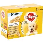 Pedigree Junior v želé 12 x 100 g – Zboží Mobilmania