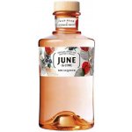 June Gin Liquere 37,5% 0,7 l (holá láhev) – Sleviste.cz