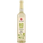 Hollinger Sirup z květu černého bezu 0,5 l – Sleviste.cz