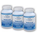 FitSport Nutrition Tribulus Terrestris 90% + Vitamin B6 + Zinc 300 kapslí – Zboží Dáma