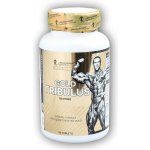 Kevin Levrone Gold Tribulus 90 tablet – Hledejceny.cz