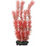Tetra Myriophyllum heterophyllum - Red Foxtail 30 cm – Sleviste.cz