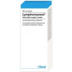 LYMPHOMYOSOT POR GTT SOL 1X30ML – Hledejceny.cz