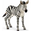 Schleich 14393 zebra hříbě