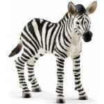 Schleich 14393 zebra hříbě – Zboží Mobilmania